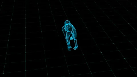 Futuristic Holographic Wireframe Model of a Primate on a Digital Grid Backg.. 库存影片 342315968