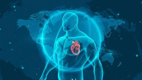 Futuristic Human Anatomy with Global Map and Heart Highlighted in Blue Ilustración de archivo