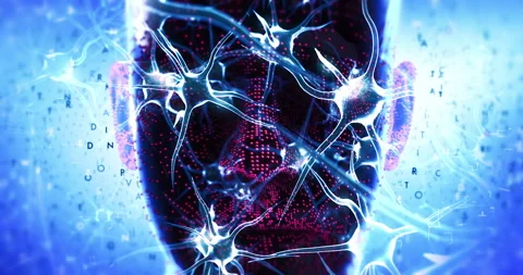 Futuristic Human Brain Visualization With Digital Neural Connections. Stock Footage 321490125