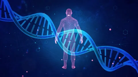 Futuristic Human DNA Model: Exploring Genetic Connections and Technological.. Stock Footage 339051344
