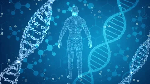 Futuristic Human DNA Wireframe and Double Helix on Blue Background Stock Footage 339051045