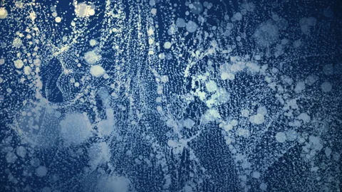 Futuristic lines in motion. Stylish graphic animation. Stock Footage 100695525