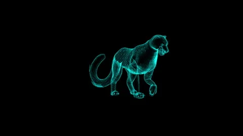 Futuristic Neon Cat Wireframe on Dark Background Illuminated in Turquoise Hue 库存影片 342316078
