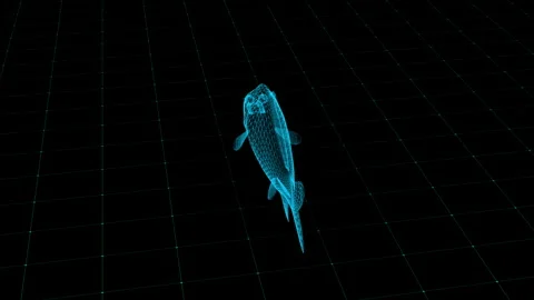 Futuristic Neon Fish Wireframe on Grid Background Digitally Rendered Stock Footage 342376040