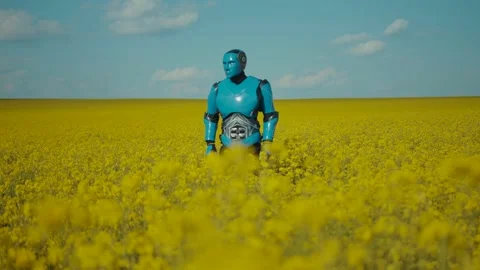 Futuristic robot android farm worker analyze the yellow field scanning growth of Stock Footage 133293811