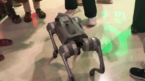 Futuristic Robotic Dog Stock Footage 315785461