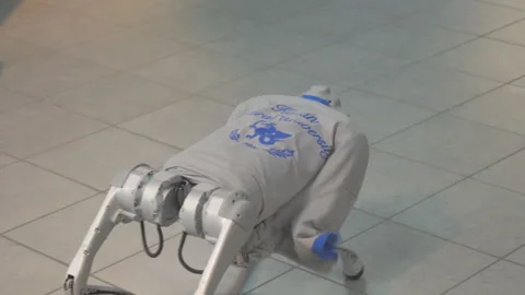 Futuristic robotic dog steps with precise mechanical rhythm Stock Footage 329104301