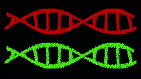 Futuristic Rotating White DNA Strand with Genetic Codes and abstract geometry. Stock Footage 276778476