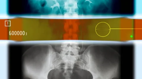 A Futuristic scan of Human Hips (Loop) Stock Footage 41436429