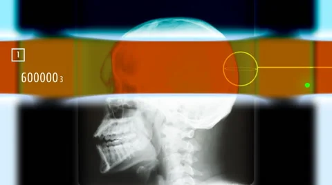 A Futuristic scan of a Skull (Loop) Stock Footage 41436430