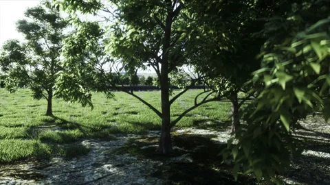 Futuristic sci fi monorail train. Concept of future. Futuristic city background Vídeo Stock 132733296