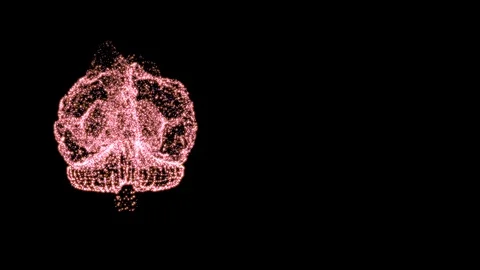 Futuristic science and technology. 3D rendering human brain formed by revolving Stock Footage 121811495