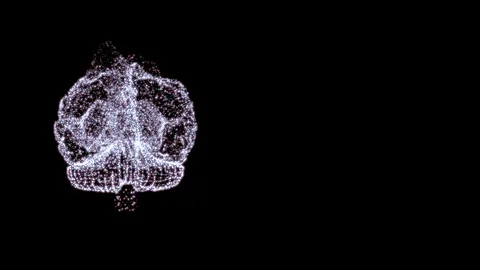 Futuristic science and technology. 3D rendering human brain formed by revolving Stock Footage 121815121
