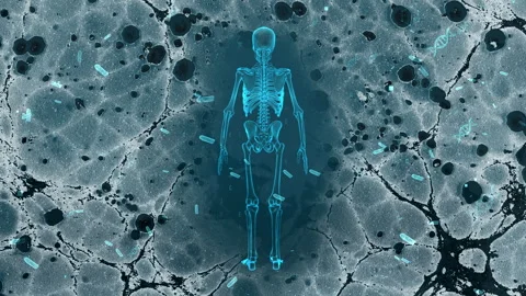 Futuristic Skeleton X-Ray Art on Abstract Textured Background 库存影片 339123317
