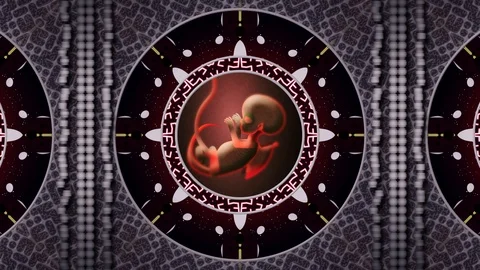 Futuristic  space transformation capsule with  daemon fetus. 库存影片 111487180