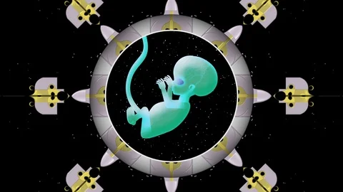 Futuristic  space transformation capsule with  humanoid. 库存影片 111242266