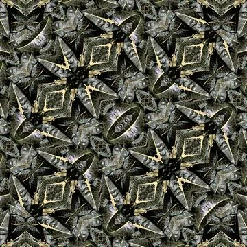 Futuristic Stylized Nature Pattern Digital collage technique complex styli... Stock Photos