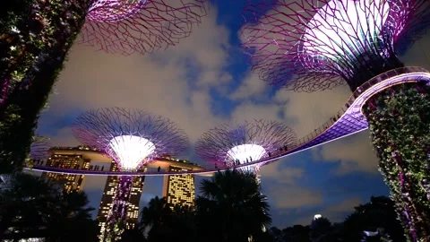 Futuristic supertrees glow at night with bridge connecting them overhead. Stock Footage 332747210