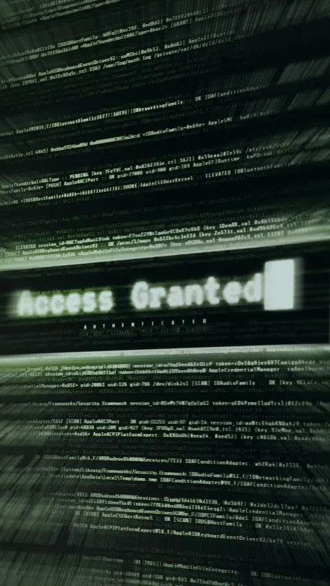 Futuristic system notification ACCESS GRANTED on green code background Stockbeeldmateriaal 335872325