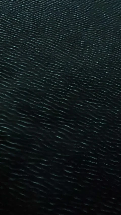 Futuristic tech background. Glowing digital grid Stock Footage 339903173