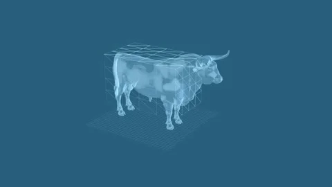 Futuristic Transparent Bull in Geometric Digital Grid Design Concept 库存影片 342605433
