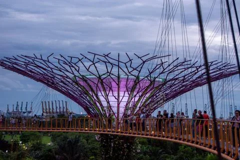 Futuristic tree structure with bridge and people at dusk Stock Photos