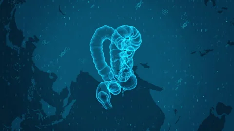 Futuristic Visualization of Human Intestines with DNA and Molecular Science.. 库存影片 339121705