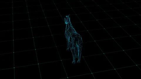 Futuristic Wireframe Animal Model on a Digital Grid Background 库存影片 343218703