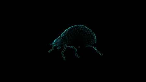 Futuristic Wireframe Beetle Design on a Dark Background, Conceptual Art 库存影片 343864559