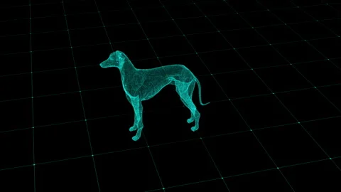 Futuristic Wireframe Dog in Virtual Reality Grid with Digital Art Aesthetic 库存影片 344032712