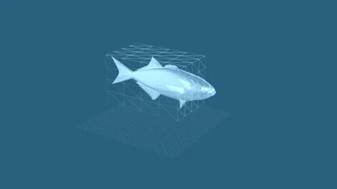 Futuristic Wireframe Fish Model in Virtual Display Grid 库存影片 342781606
