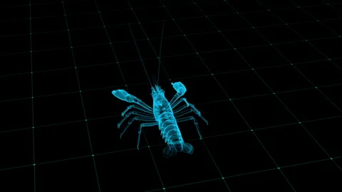Futuristic Wireframe Lobster on Grid Background with Neon Blue Highlight an.. 库存影片 343036639