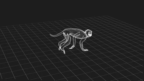 Futuristic Wireframe Monkey Walk Animation on Grid Background Stock Footage 342315842