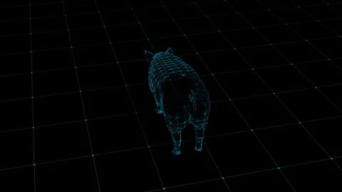 Futuristic Wireframe Pig on Virtual Grid in Digital Visualization Scene 動画素材 343591055