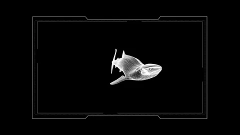 Futuristic Wireframe Representation of Marine Life in Monochrome Digital Art 库存影片 342605706