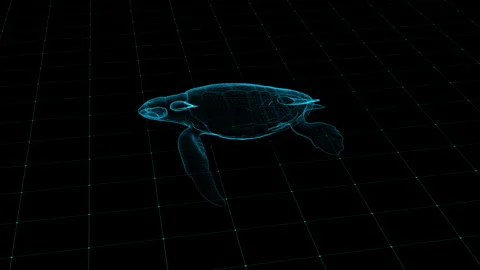 Futuristic Wireframe Sea Turtle in Digital Grid Environment Stock Footage 342252212
