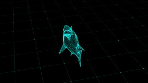 Futuristic Wireframe Shark in a Digital Grid Environment Showcasing Virtual.. Video stock 343640717