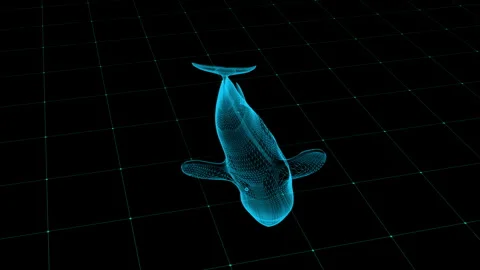 Futuristic Wireframe Whale Render in a Digital Grid Abstract Ocean Simulation Stock Footage 343591451
