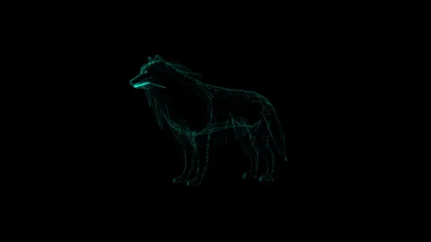 Futuristic Wireframe Wolf in Black Virtual Reality World Artistry Stock Footage 342245078