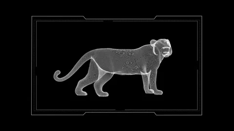Futuristic X-ray Lion Imagery Displaying Digital Art With Elegance and Fier.. Stock Footage 342245409