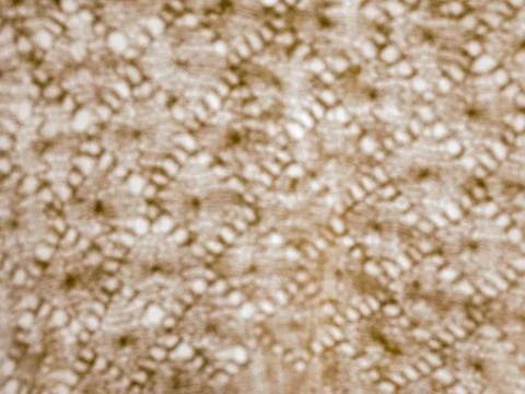 Fuzzy abstraction Stock Photos