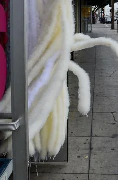 Fuzzy arms Stock Photos