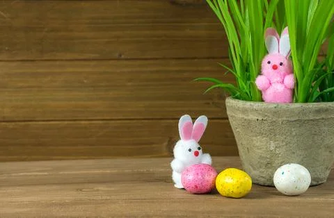 Fuzzy Easter bunnies with plant Stock Photos