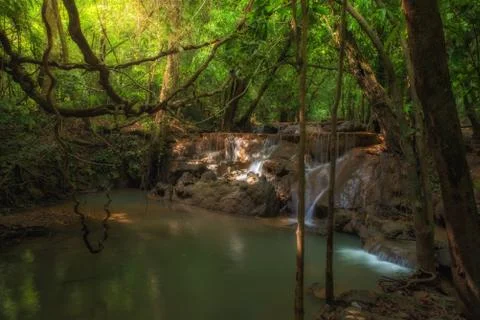 Fuzzy forest, forest in a mess, water fall and light in forst. Stock Photos