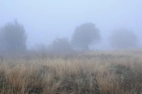 Fuzzy landscape in the fall Stock Photos