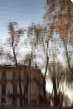 Fuzzy trees and building Stock Photos