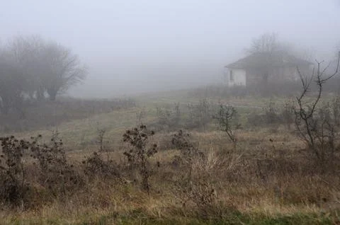 Fuzzy view of countryside Stock Photos