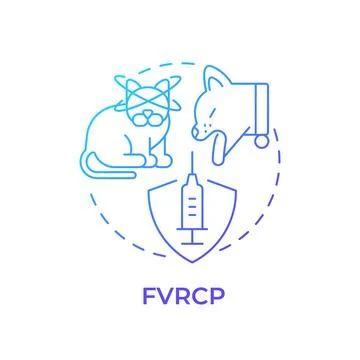 FVRCP gradient outline concept icon Stock Illustration