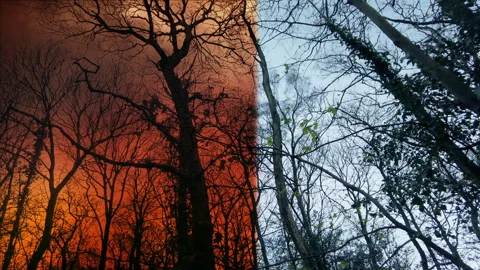 FX Wipe From Daytime To Forest Fire Stock Footage 247340586