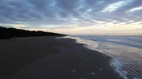 Fying on the shore Stock Footage 117154659